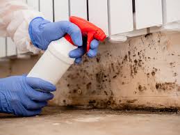 Mold Remediation for Vacation Homes in Pajaro, CA